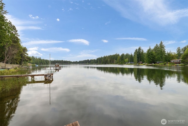 1171 E Trails End Dr, Belfair, WA 98528 - water view featuring a forest and a boat dock