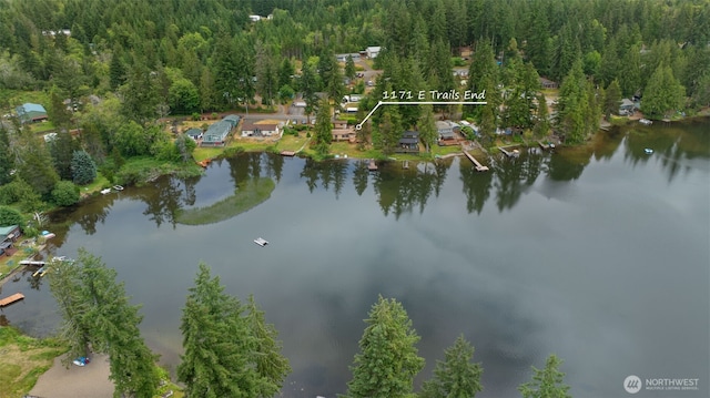 1171 E Trails End Dr, Belfair, WA 98528 - aerial view of property and surrounding area with a large body of water and a forest