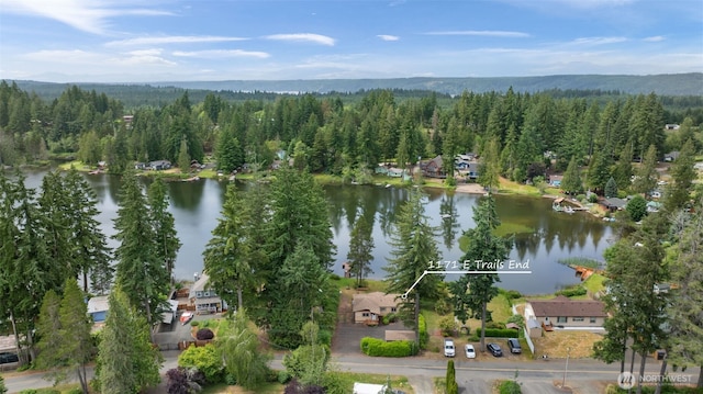 1171 E Trails End Dr, Belfair, WA 98528 - aerial view of property's location with a large body of water and a forest