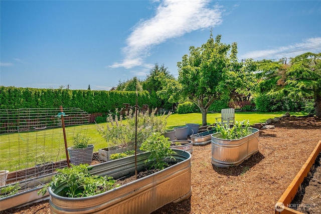 2483 Hilltop Rd, Ferndale, WA 98248 - view of yard featuring a vegetable garden