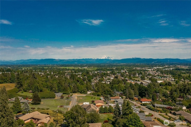 2483 Hilltop Rd, Ferndale, WA 98248 - aerial view of residential area featuring mountains