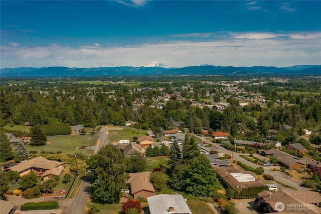2483 Hilltop Rd, Ferndale, WA 98248 - aerial view of residential area featuring mountains