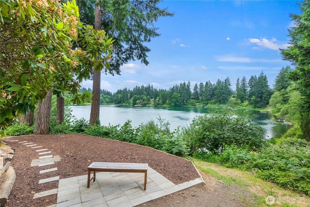 2219 Yelm Hwy SE, Olympia, WA 98501 - water view with a forest