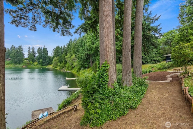 2219 Yelm Hwy SE, Olympia, WA 98501 - water view featuring a heavily wooded area