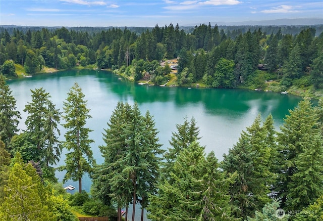 2219 Yelm Hwy SE, Olympia, WA 98501 - water view with a forest