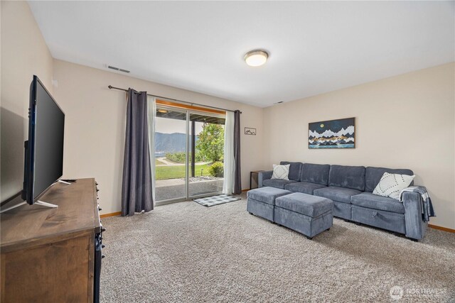 29 Firenza Ln, Manson, WA 98831 - photo 24