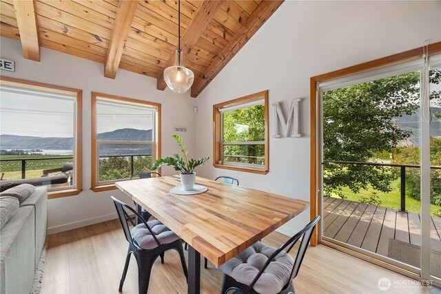 29 Firenza Ln, Manson, WA 98831 - photo 11