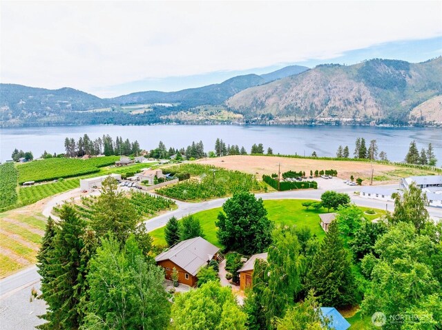 29 Firenza Ln, Manson, WA 98831 - photo 4