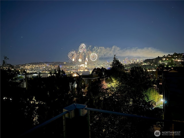3659 Whitman Ave N, Seattle, WA 98103 - city view