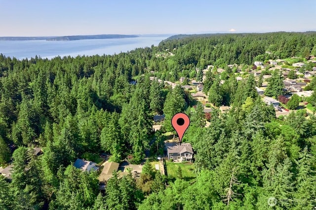 7516 181st Pl SW, Edmonds, WA 98026 - aerial overview of property's location with a forest and a large body of water