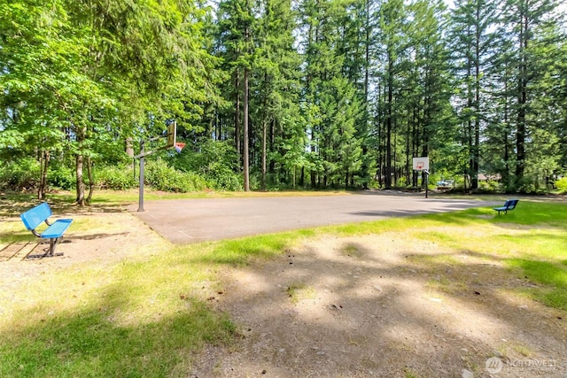 26622 190th Ave SE, Covington, WA 98042 - view of yard with community basketball court