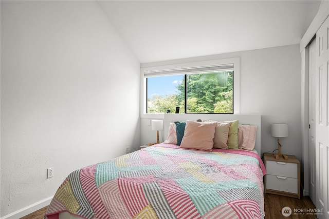 8739 17th Ave NW, Seattle, WA 98117 - bedroom featuring wood finished floors, a closet, and vaulted ceiling