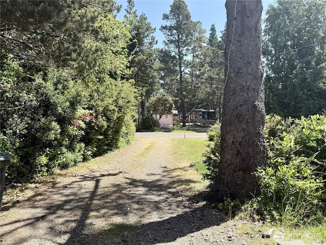 27805 L Pl, Ocean Park, WA 98640 - view of road
