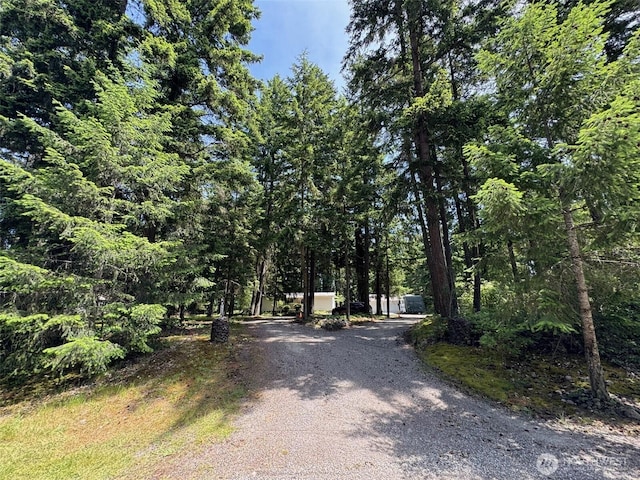 20115 92nd Ave E, Graham, WA 98338 - view of dirt / gravel road with a forest view