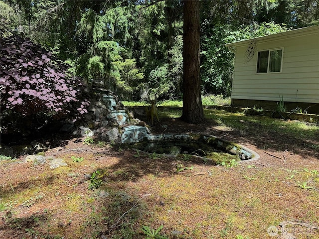 20115 92nd Ave E, Graham, WA 98338 - view of yard
