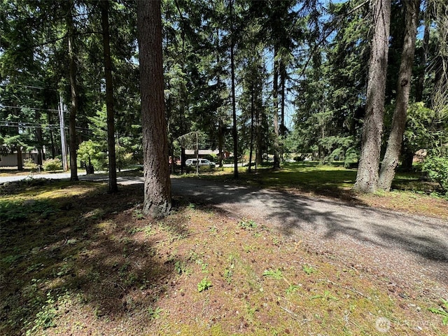 20115 92nd Ave E, Graham, WA 98338 - view of street