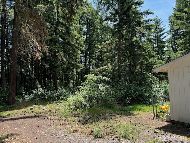 20115 92nd Ave E, Graham, WA 98338 - view of tree filled area
