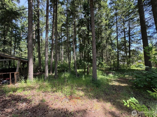 20115 92nd Ave E, Graham, WA 98338 - view of nature