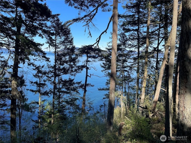 0 Willows Ln, Friday Harbor, WA 98250 - photo 2