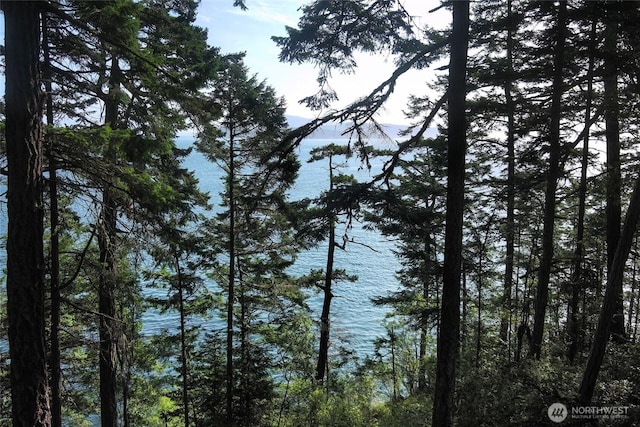 0 Willows Ln, Friday Harbor, WA 98250 - photo 3