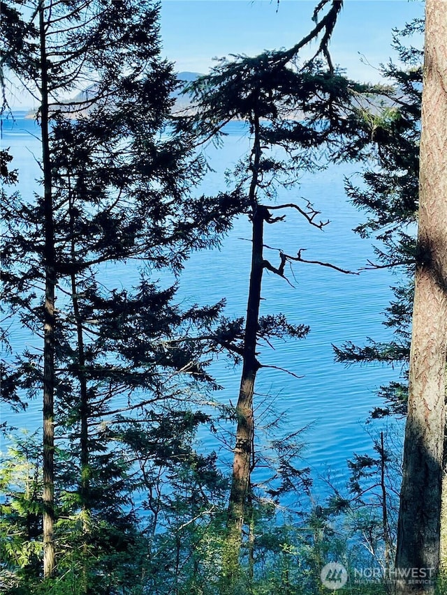 0 Willows Ln, Friday Harbor, WA 98250 - photo 4