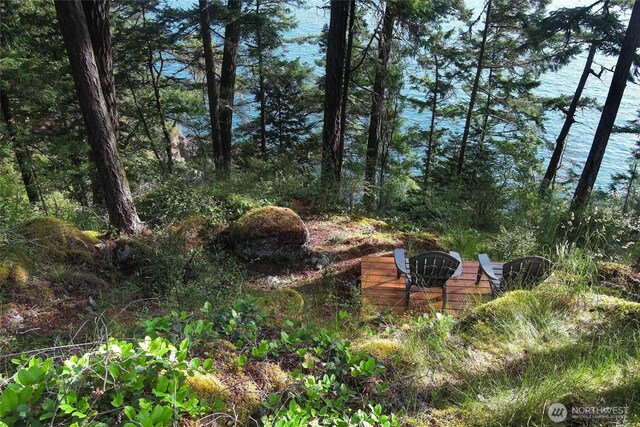 0 Willows Ln, Friday Harbor, WA 98250 - photo 10