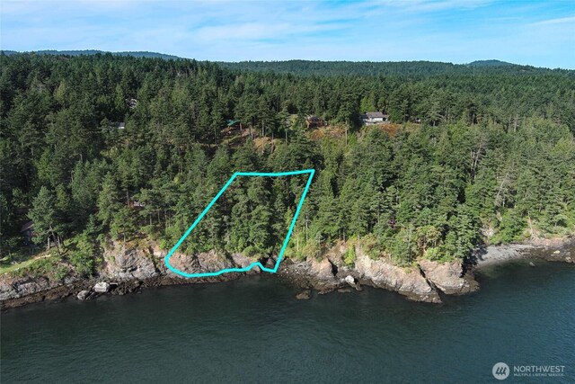 0 Willows Ln, Friday Harbor, WA 98250 - photo 11