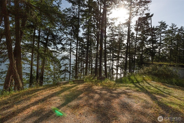 0 Willows Ln, Friday Harbor, WA 98250 - photo 14