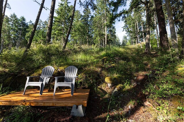 0 Willows Ln, Friday Harbor, WA 98250 - photo 15
