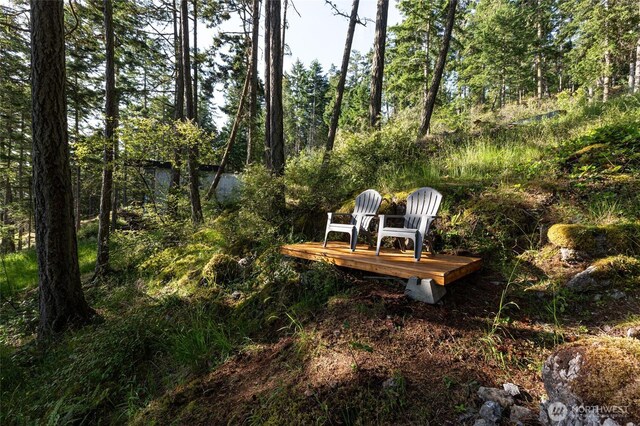 0 Willows Ln, Friday Harbor, WA 98250 - photo 16