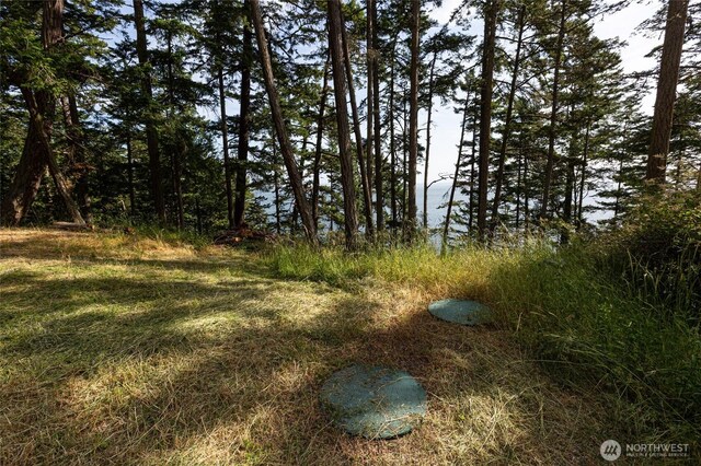 0 Willows Ln, Friday Harbor, WA 98250 - photo 17