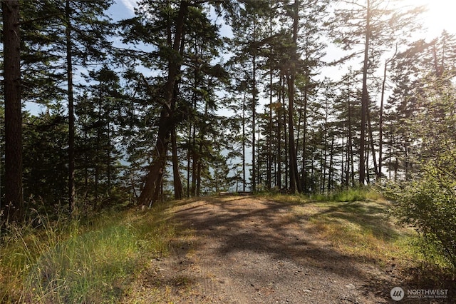 0 Willows Ln, Friday Harbor, WA 98250 - photo 18