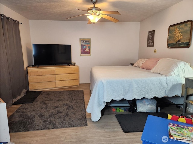 50 Elk Dr, Brinnon, WA 98320 - photo 6
