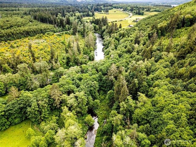 272 Rixon Rd, Beaver, WA 98305 - photo 38