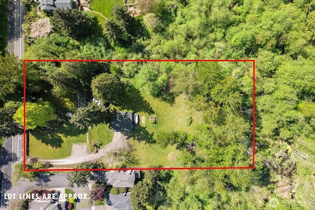 10454 Forbes Creek Dr, Kirkland, WA 98033 - photo 36