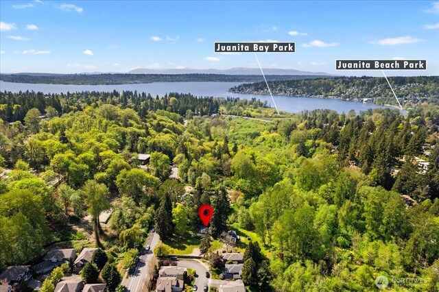 10454 Forbes Creek Dr, Kirkland, WA 98033 - photo 37
