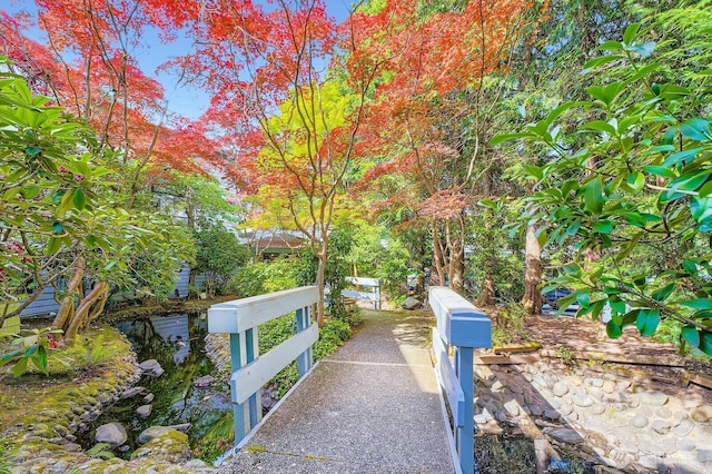 7930SE 34th St Unit 209, Mercer Island, WA 98040 - view of property's community