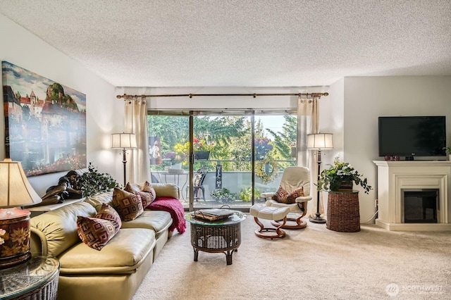 7930SE 34th St Unit 209, Mercer Island, WA 98040 - carpeted living room with a textured ceiling and a glass covered fireplace