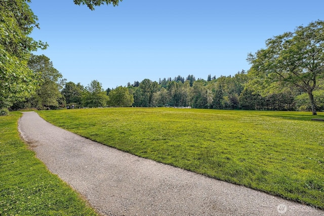 7930SE 34th St Unit 209, Mercer Island, WA 98040 - view of home's community featuring a yard and a wooded view