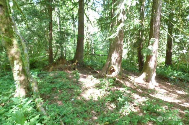 2011 35th Ln NE, Olympia, WA 98506