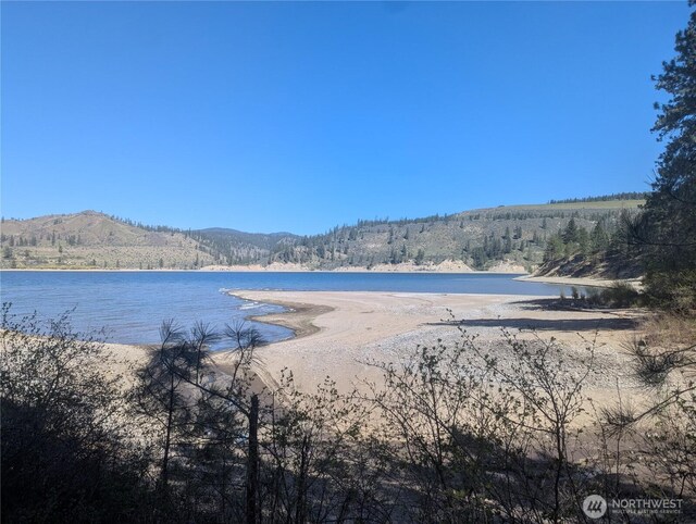 40359 Barbara Ln N, Davenport, WA 99122 - water view with a heavily wooded area and a mountainous background
