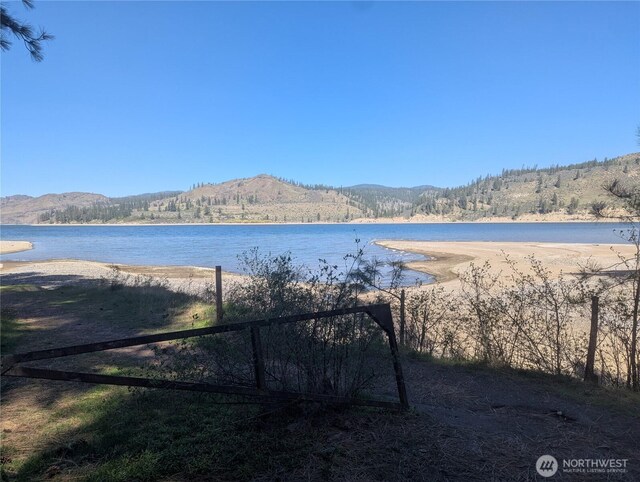 40359 Barbara Ln N, Davenport, WA 99122 - water view with mountains