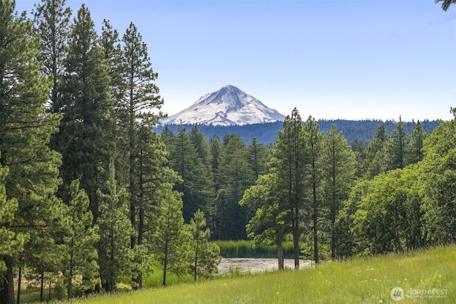 6286 Five Mile Rd, The Dalles, OR 98058 - mountain view featuring a forest