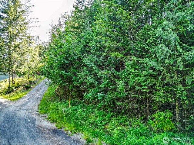 0 Creek Ct, Brinnon, WA 98320