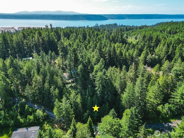 0 Creek Ct, Brinnon, WA 98320