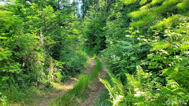 0 Creek Ct, Brinnon, WA 98320