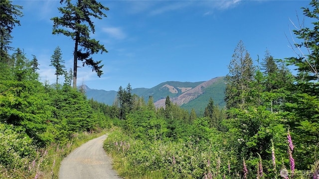 0 Creek Ct, Brinnon, WA 98320