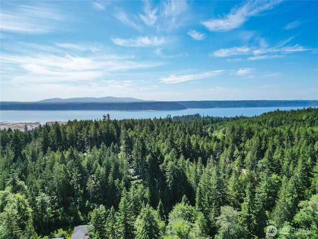 0 Creek Ct, Brinnon, WA 98320