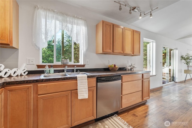 1910 192nd Avenue Ct SW, Lakebay, WA 98349 - kitchen with rail lighting, dishwasher, light wood-type flooring, dark countertops, and lofted ceiling