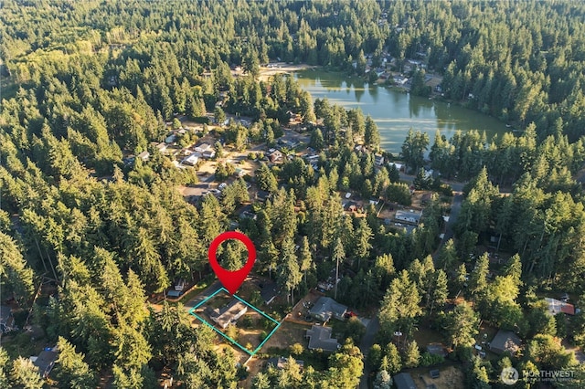 1910 192nd Avenue Ct SW, Lakebay, WA 98349 - aerial overview of property's location featuring a heavily wooded area and property boundaries highlighted
